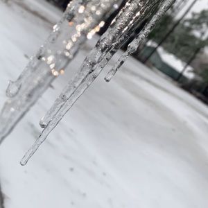 Meet your Posher, Adrienne